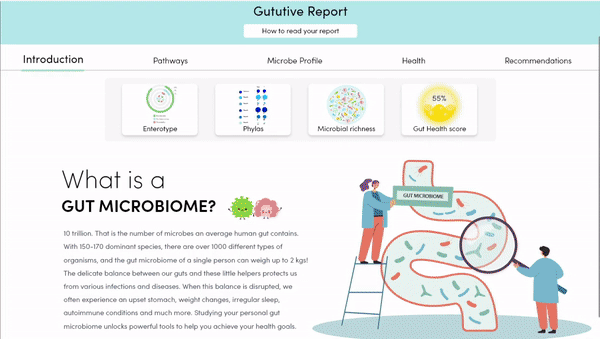 Gut Microbiome Report