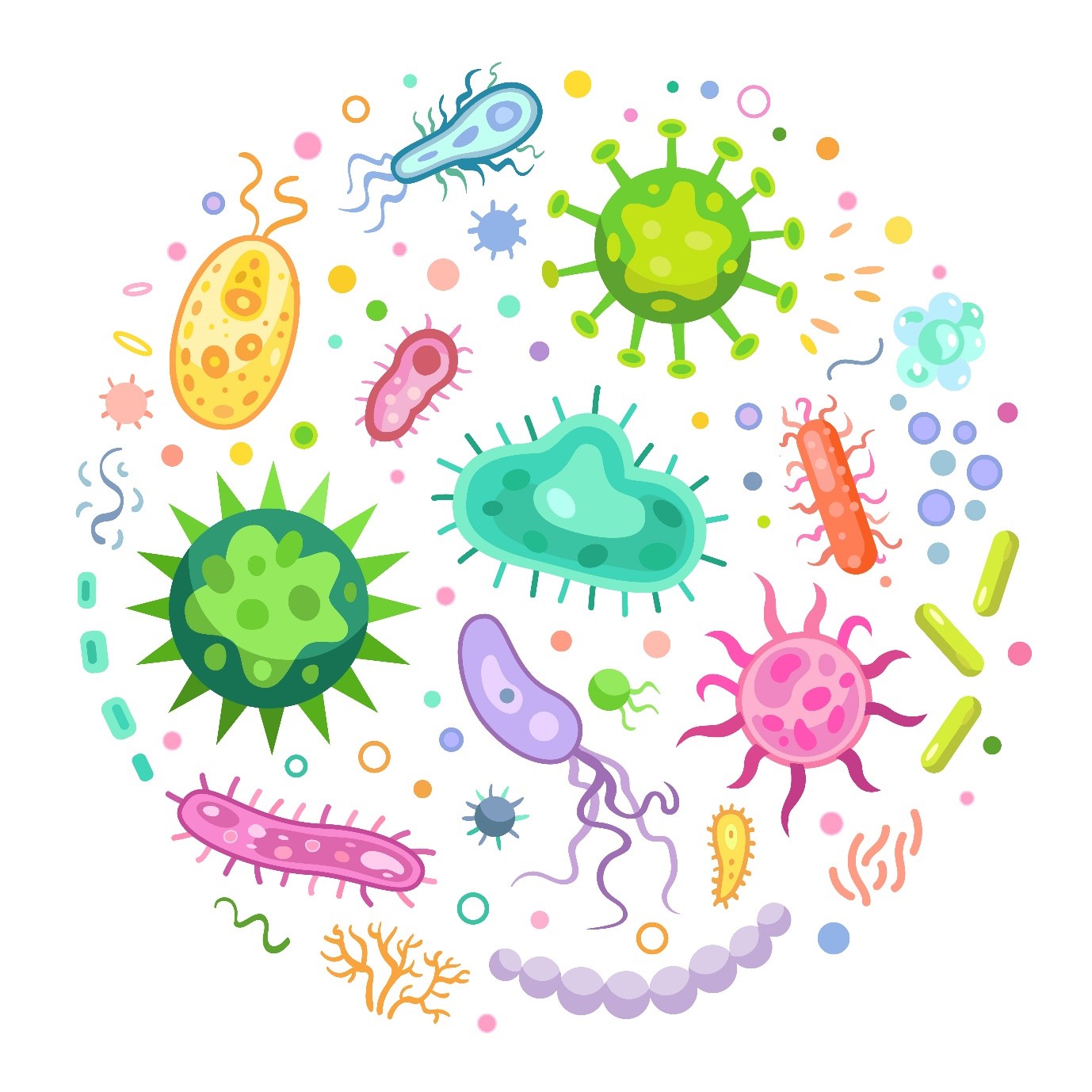 Gut Microbiome, Gender Differences, Hormones, Diet, ImmuneSystem, Autoimmune Disease, Health, Wellness, Healthy Living, Healthy Gut, Nutrition, Science, Microbiology