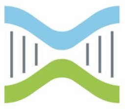 genetics, ancestry estimation, human migration, ancient DNA, genetic markers, global diversity