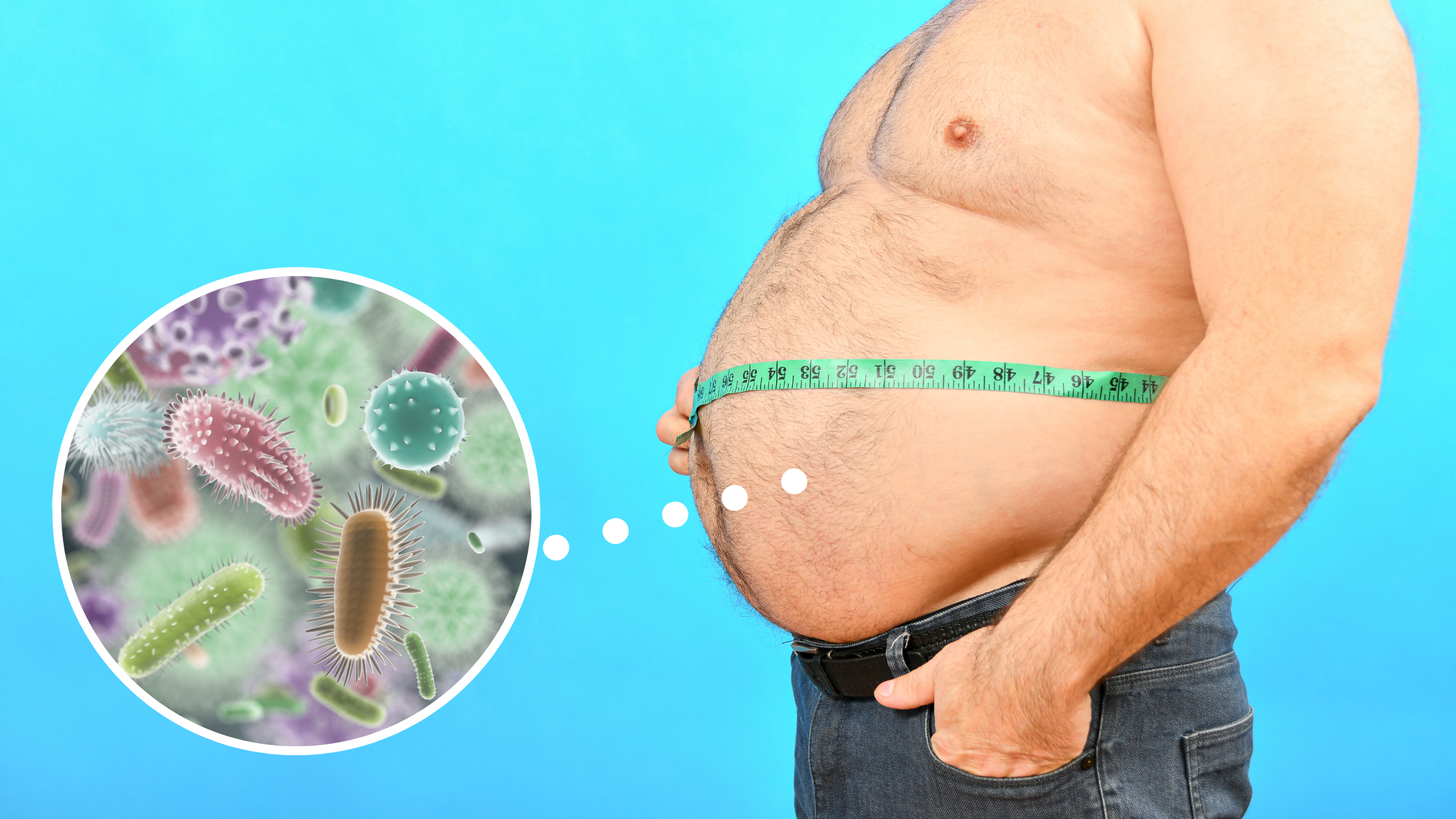 Gut microbiome, obesity, microbiome, gut health, weight loss, nutrition