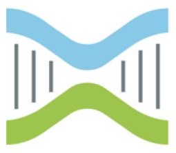 Twins, genetic clones, Genetics, Carl bruder, genomics, Twin studies, Mythbusting